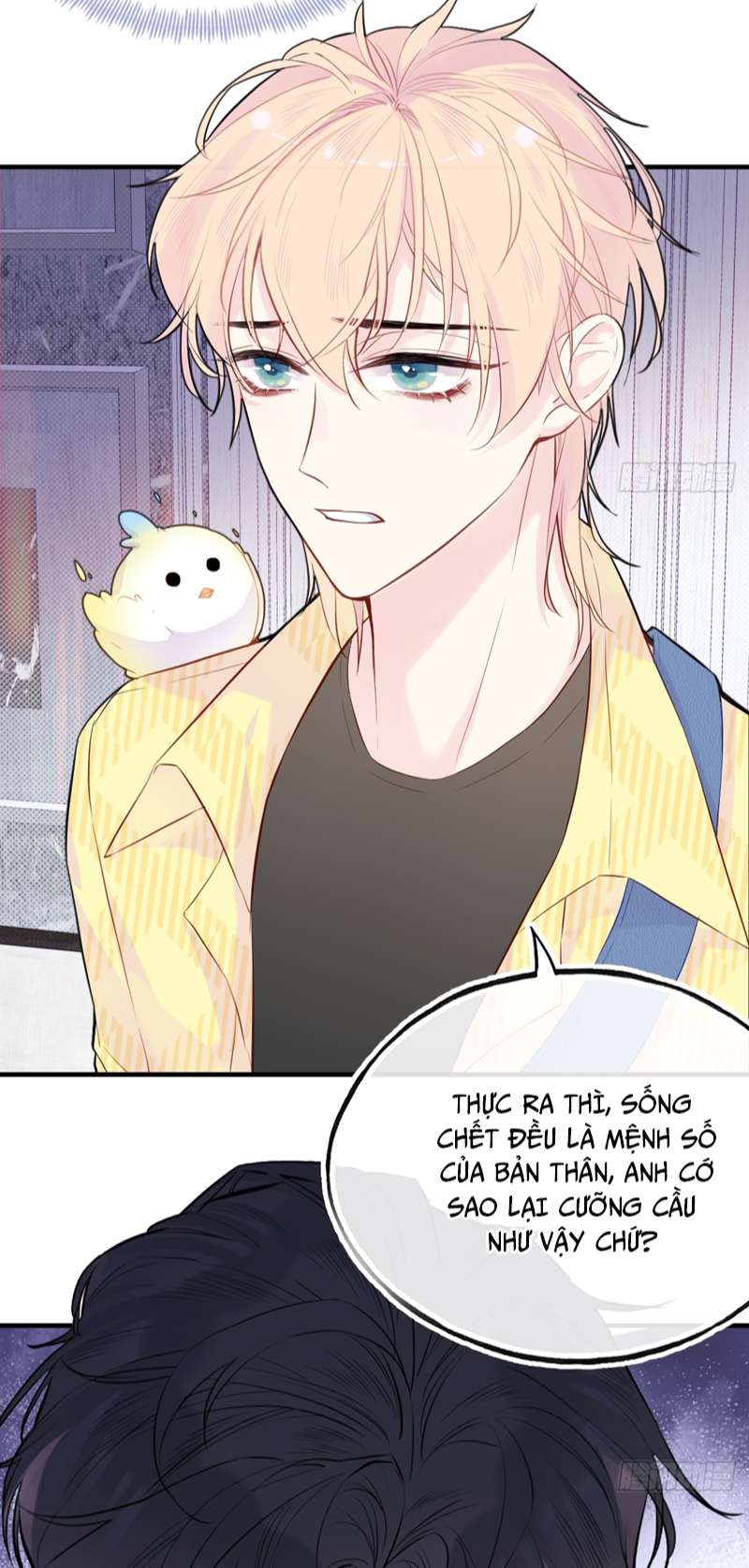 Anh Ấy Chưa Từng Rơi Xuống Chapter 15 - Trang 2