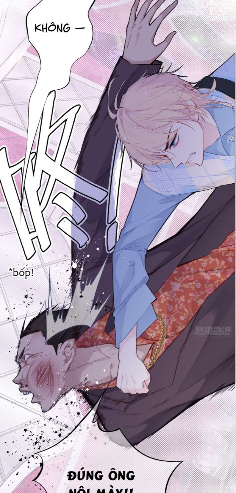 Anh Ấy Chưa Từng Rơi Xuống Chapter 17 - Trang 2