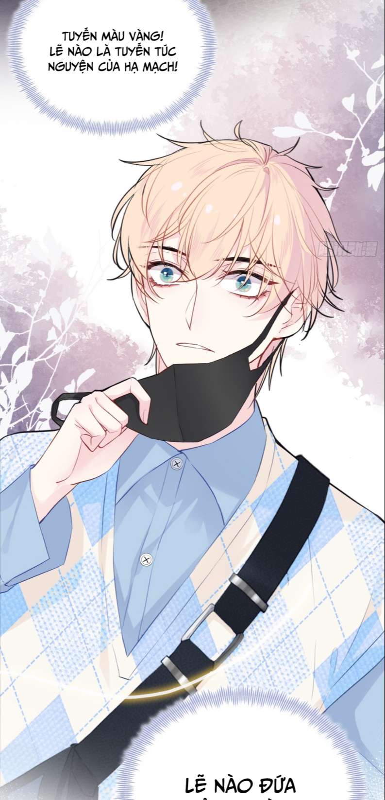 Anh Ấy Chưa Từng Rơi Xuống Chapter 17 - Trang 2