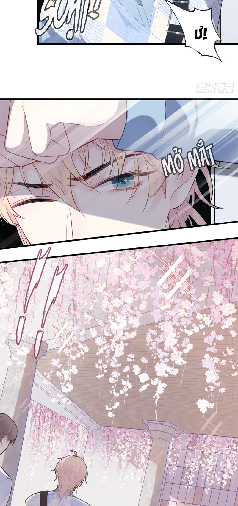 Anh Ấy Chưa Từng Rơi Xuống Chapter 31 - Trang 2