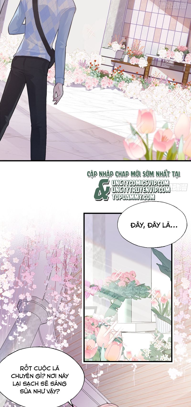 Anh Ấy Chưa Từng Rơi Xuống Chapter 31 - Trang 2