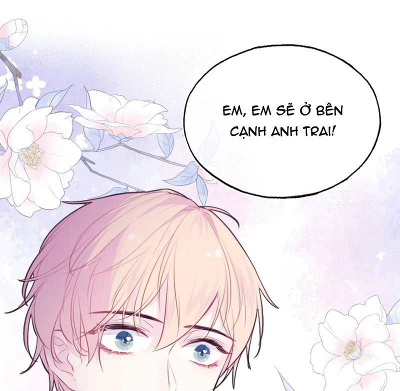 Anh Ấy Chưa Từng Rơi Xuống Chapter 45 - Trang 2
