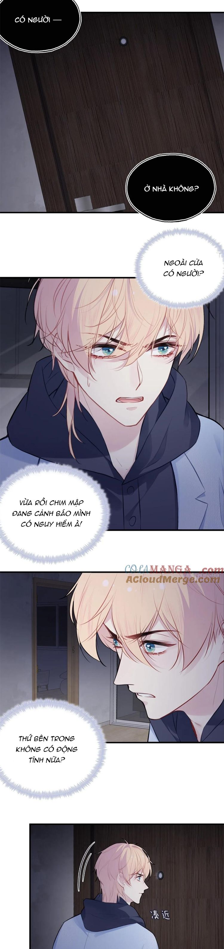 Anh Ấy Chưa Từng Rơi Xuống Chapter 71 - Trang 2