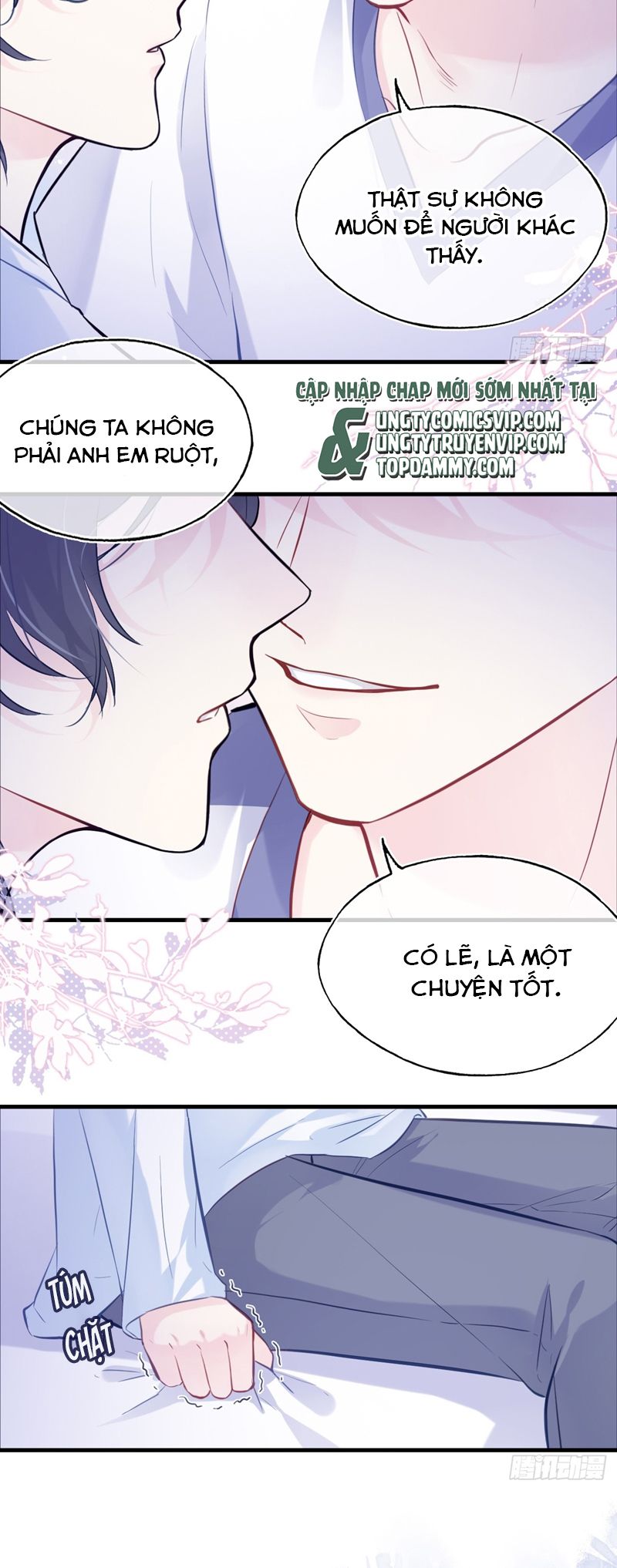 Anh Ấy Chưa Từng Rơi Xuống Chapter 77 - Trang 2