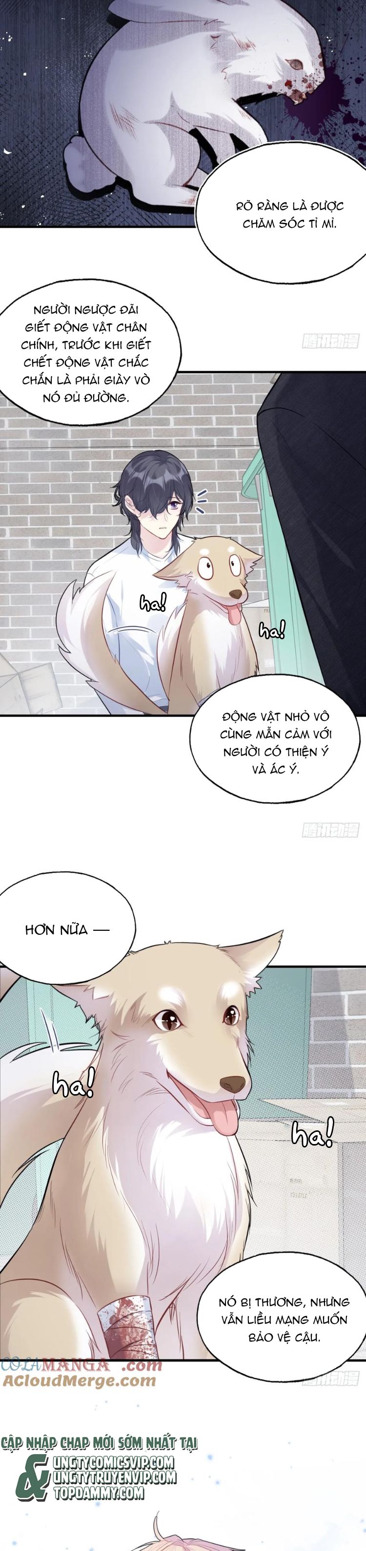 Anh Ấy Chưa Từng Rơi Xuống Chapter 79 - Trang 2