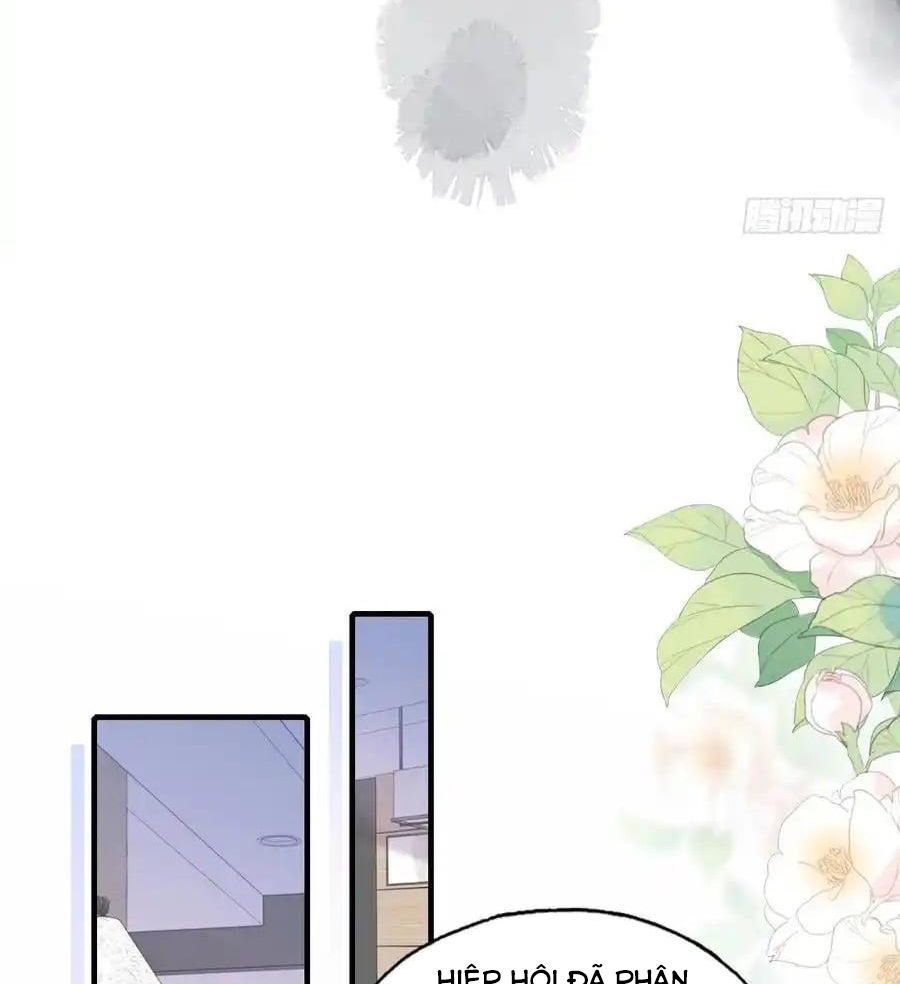 Anh Ấy Chưa Từng Sa Ngã Chapter 100 - Trang 2