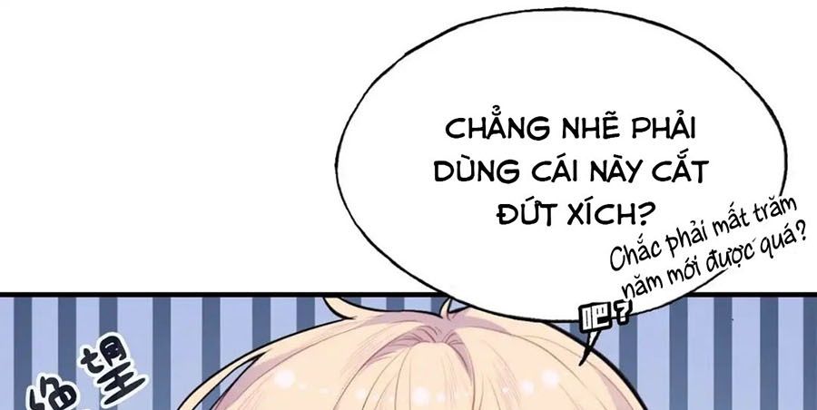 Anh Ấy Chưa Từng Sa Ngã Chapter 11 - Trang 2