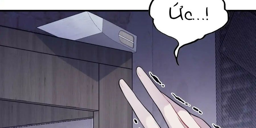 Anh Ấy Chưa Từng Sa Ngã Chapter 11 - Trang 2