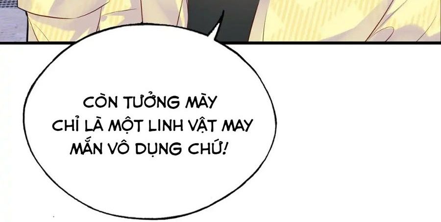 Anh Ấy Chưa Từng Sa Ngã Chapter 11 - Trang 2