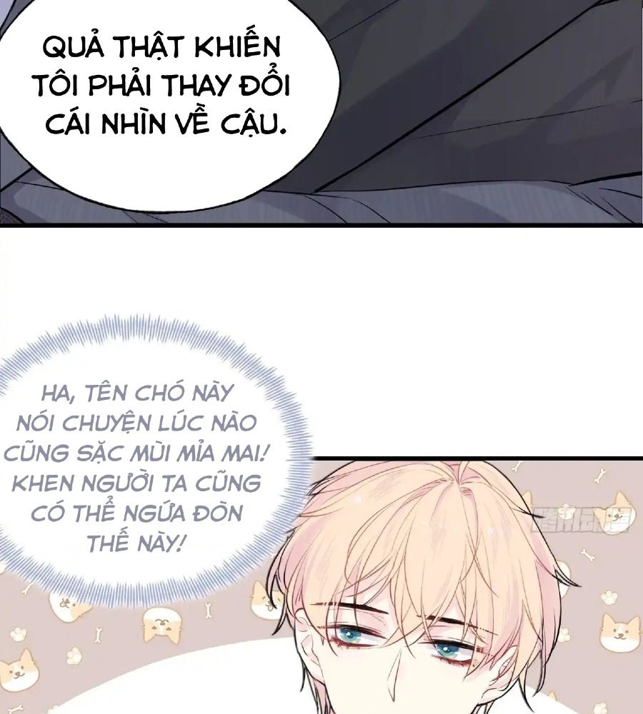 Anh Ấy Chưa Từng Sa Ngã Chapter 16 - Trang 2