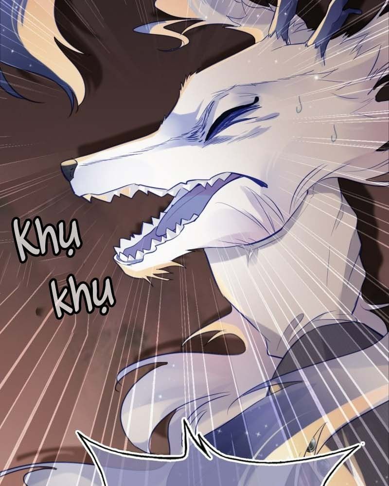 Anh Ấy Chưa Từng Sa Ngã Chapter 17 - Trang 2