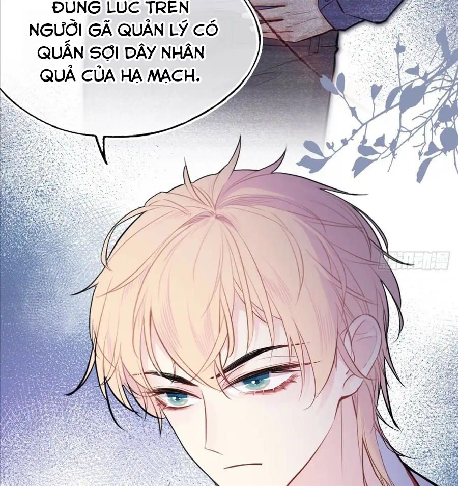 Anh Ấy Chưa Từng Sa Ngã Chapter 18 - Trang 2