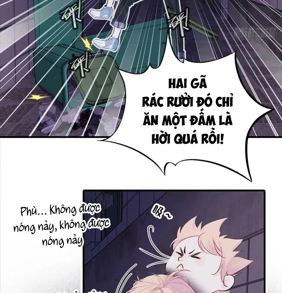 Anh Ấy Chưa Từng Sa Ngã Chapter 19 - Trang 2