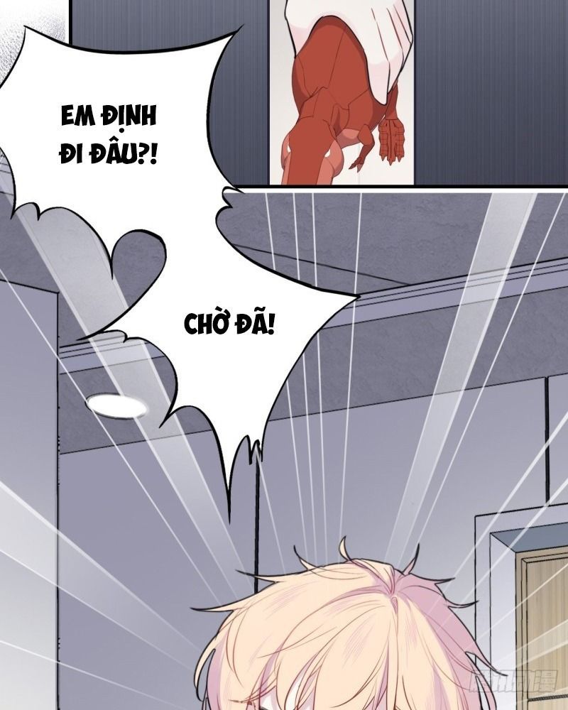 Anh Ấy Chưa Từng Sa Ngã Chapter 22 - Trang 2