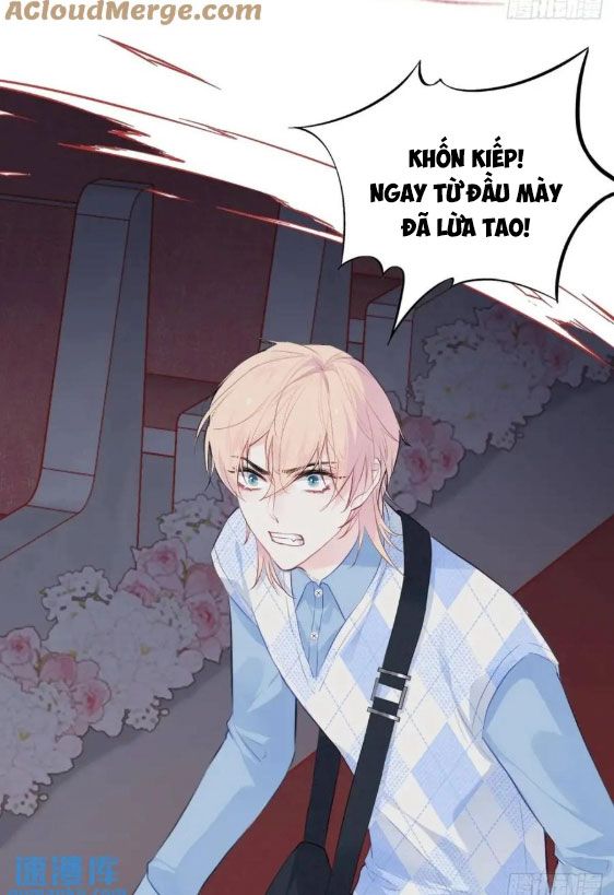 Anh Ấy Chưa Từng Sa Ngã Chapter 38 - Trang 2
