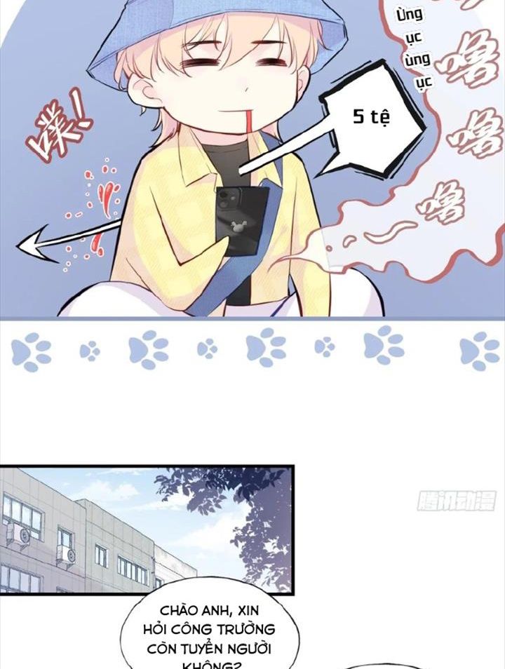 Anh Ấy Chưa Từng Sa Ngã Chapter 5 - Trang 2