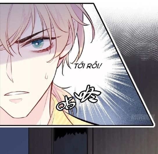 Anh Ấy Chưa Từng Sa Ngã Chapter 6 - Trang 2