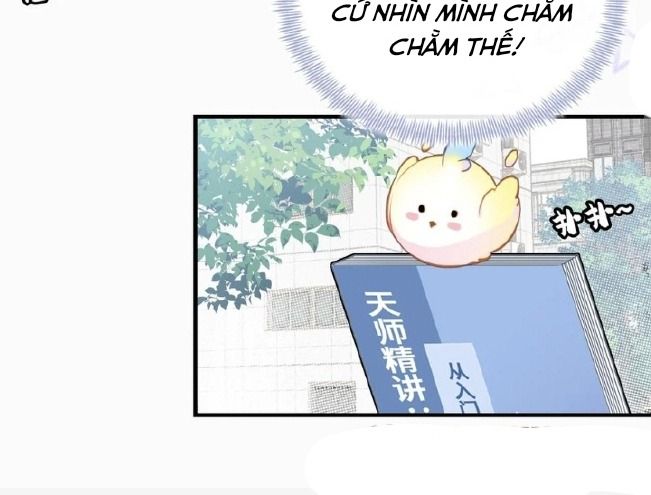 Anh Ấy Chưa Từng Sa Ngã Chapter 6 - Trang 2