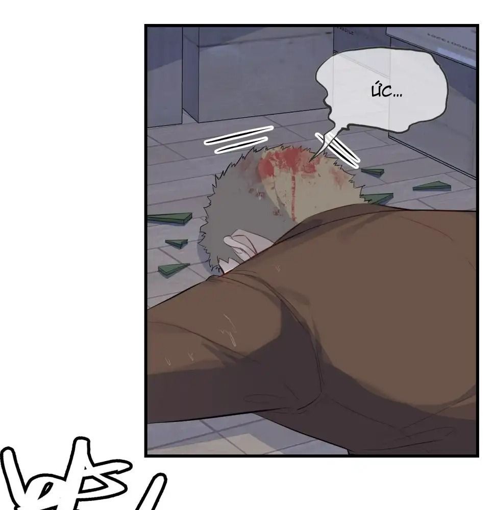 Anh Ấy Chưa Từng Sa Ngã Chapter 7 - Trang 2