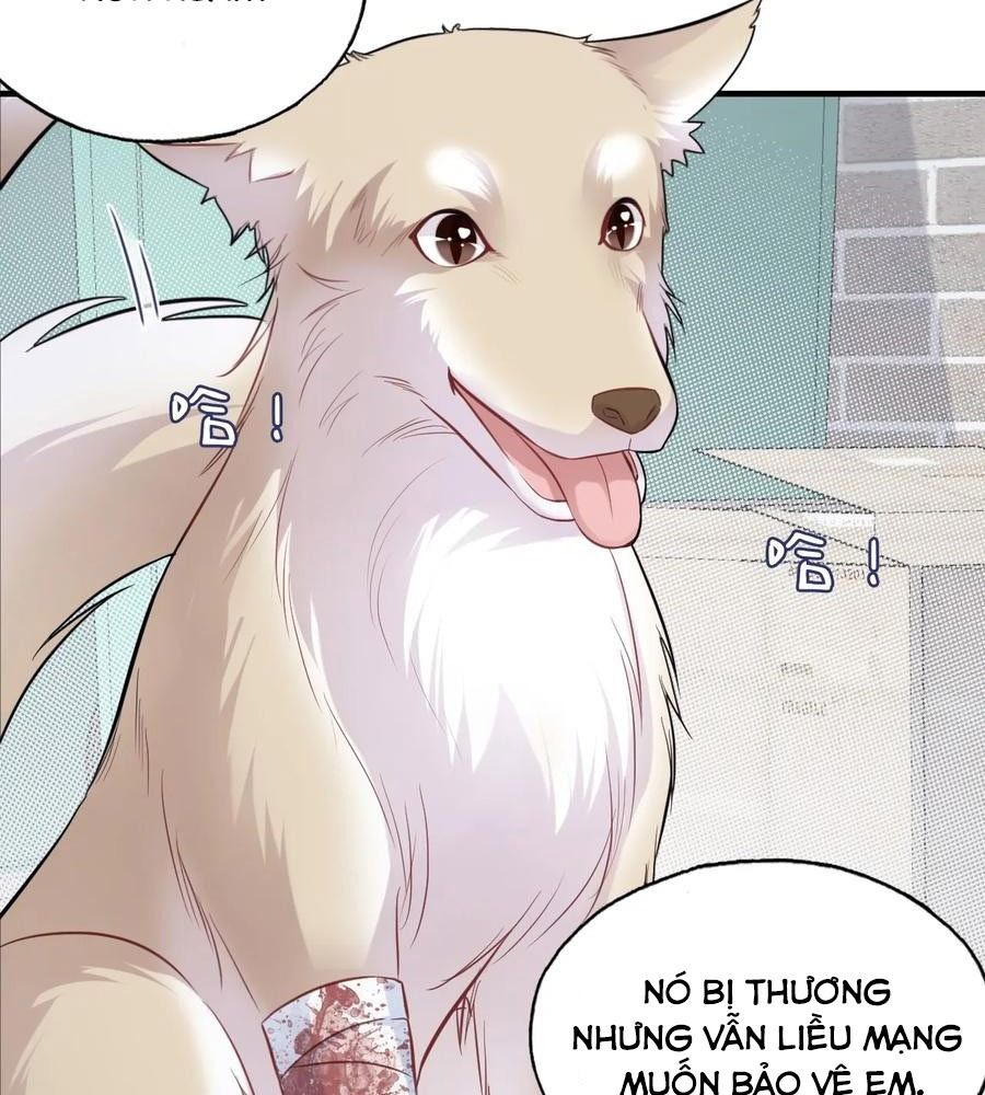 Anh Ấy Chưa Từng Sa Ngã Chapter 79 - Trang 2