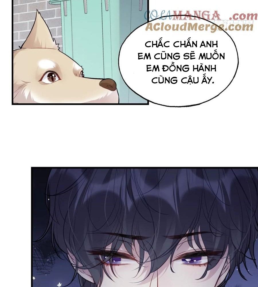 Anh Ấy Chưa Từng Sa Ngã Chapter 79 - Trang 2