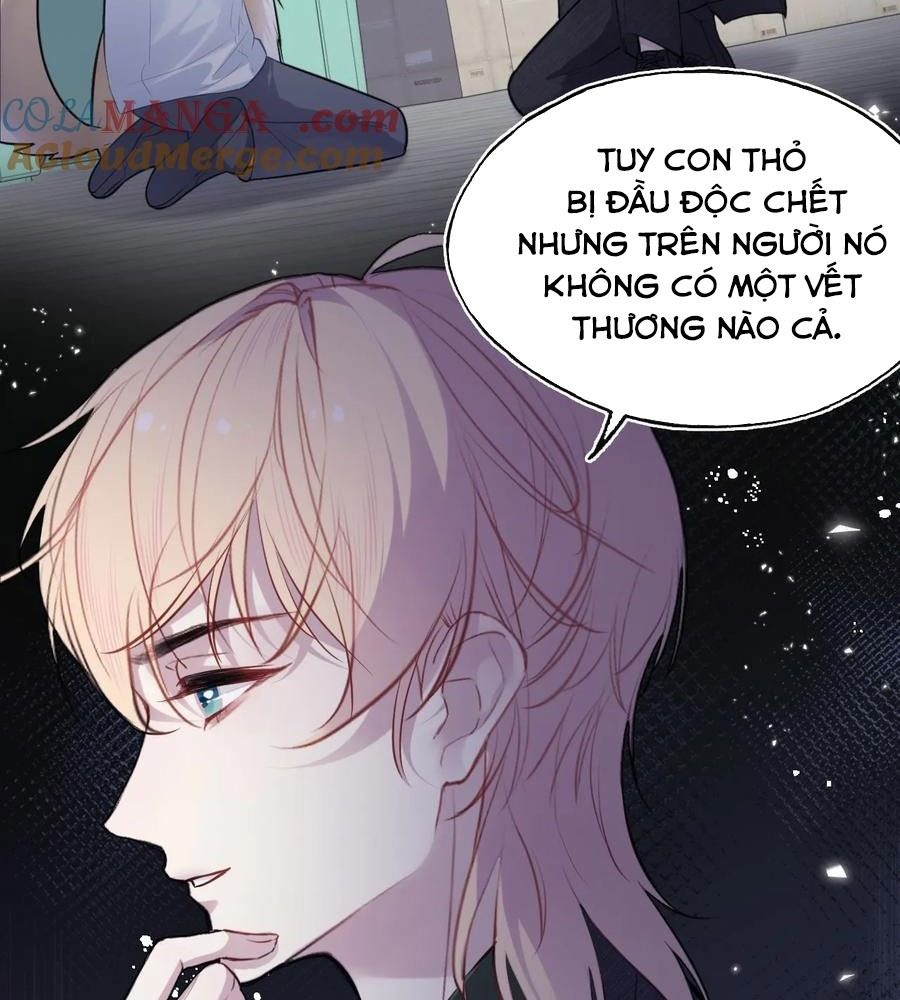 Anh Ấy Chưa Từng Sa Ngã Chapter 79 - Trang 2