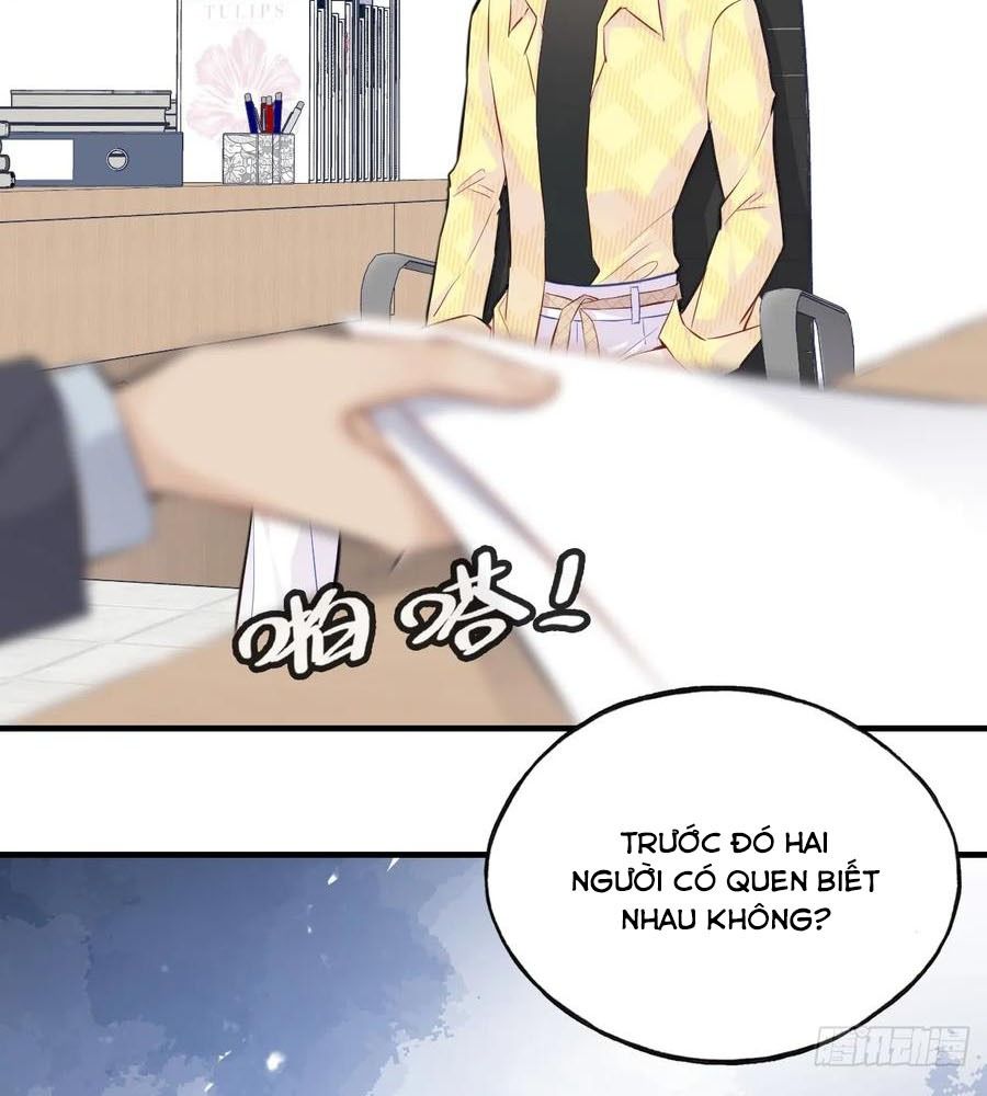 Anh Ấy Chưa Từng Sa Ngã Chapter 8 - Trang 2