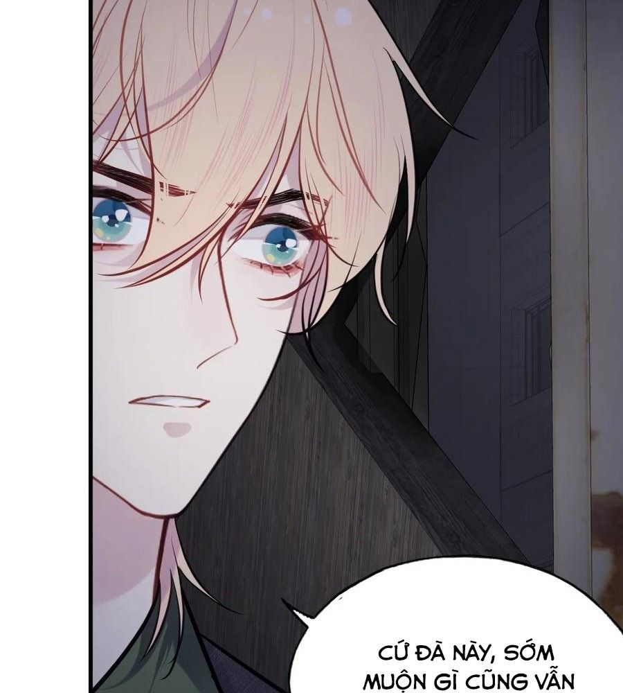 Anh Ấy Chưa Từng Sa Ngã Chapter 80 - Trang 2