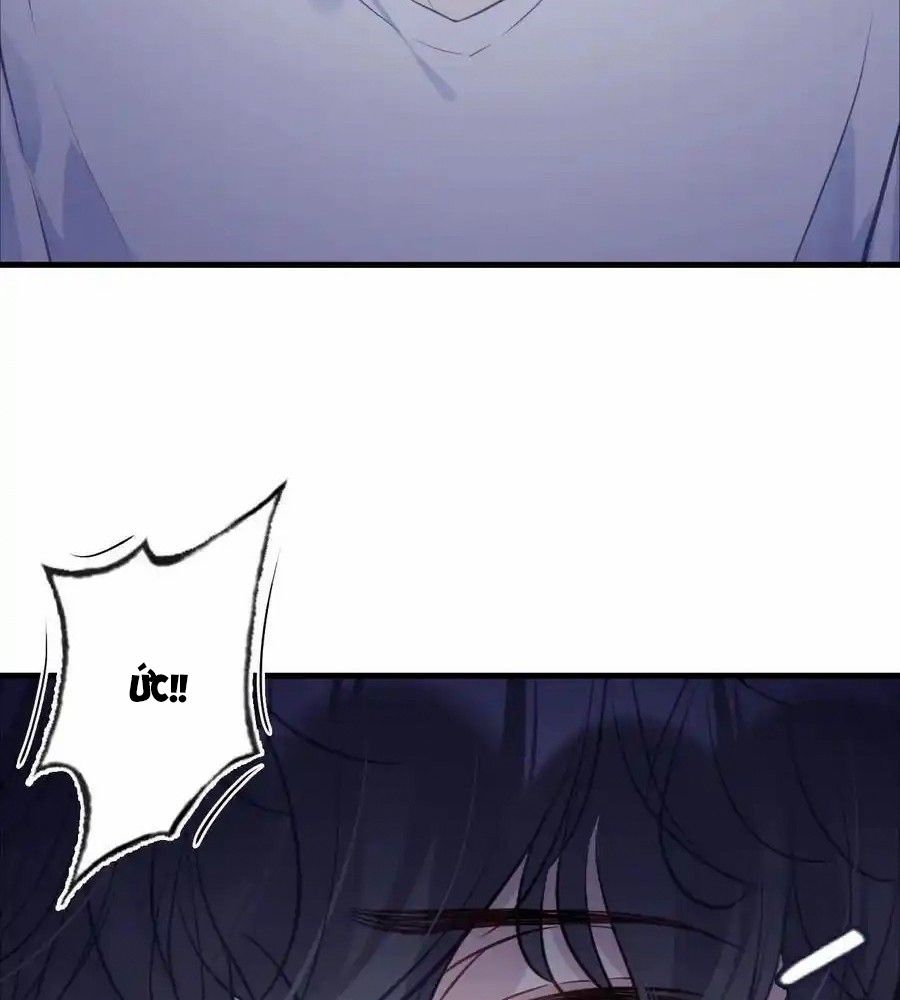 Anh Ấy Chưa Từng Sa Ngã Chapter 81 - Trang 2