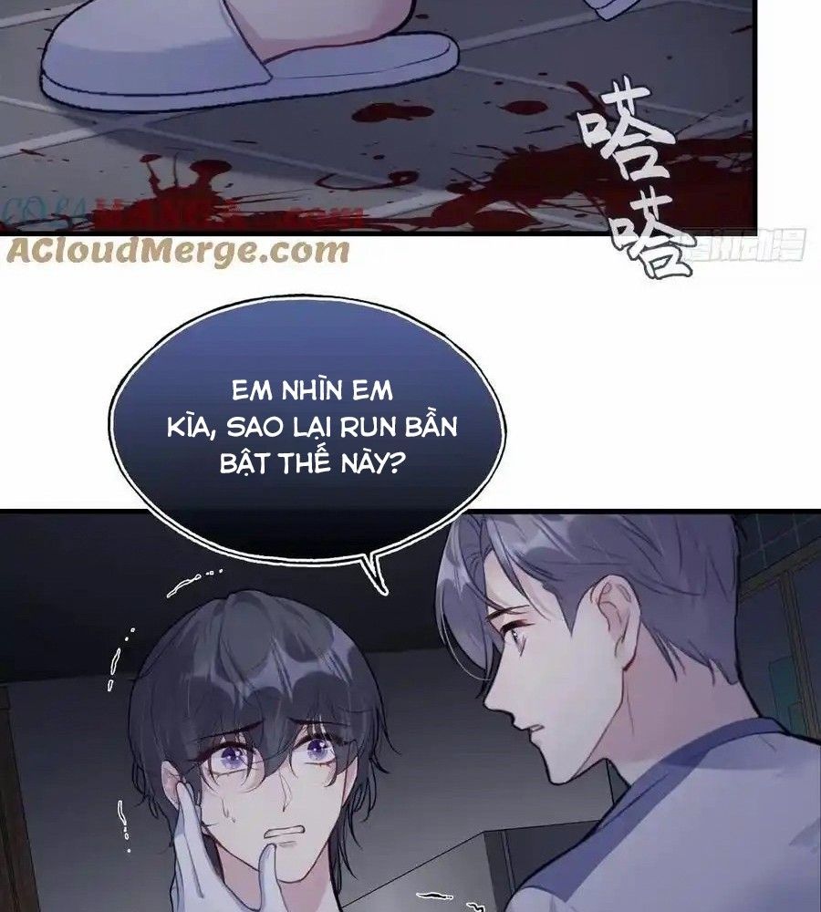 Anh Ấy Chưa Từng Sa Ngã Chapter 81 - Trang 2