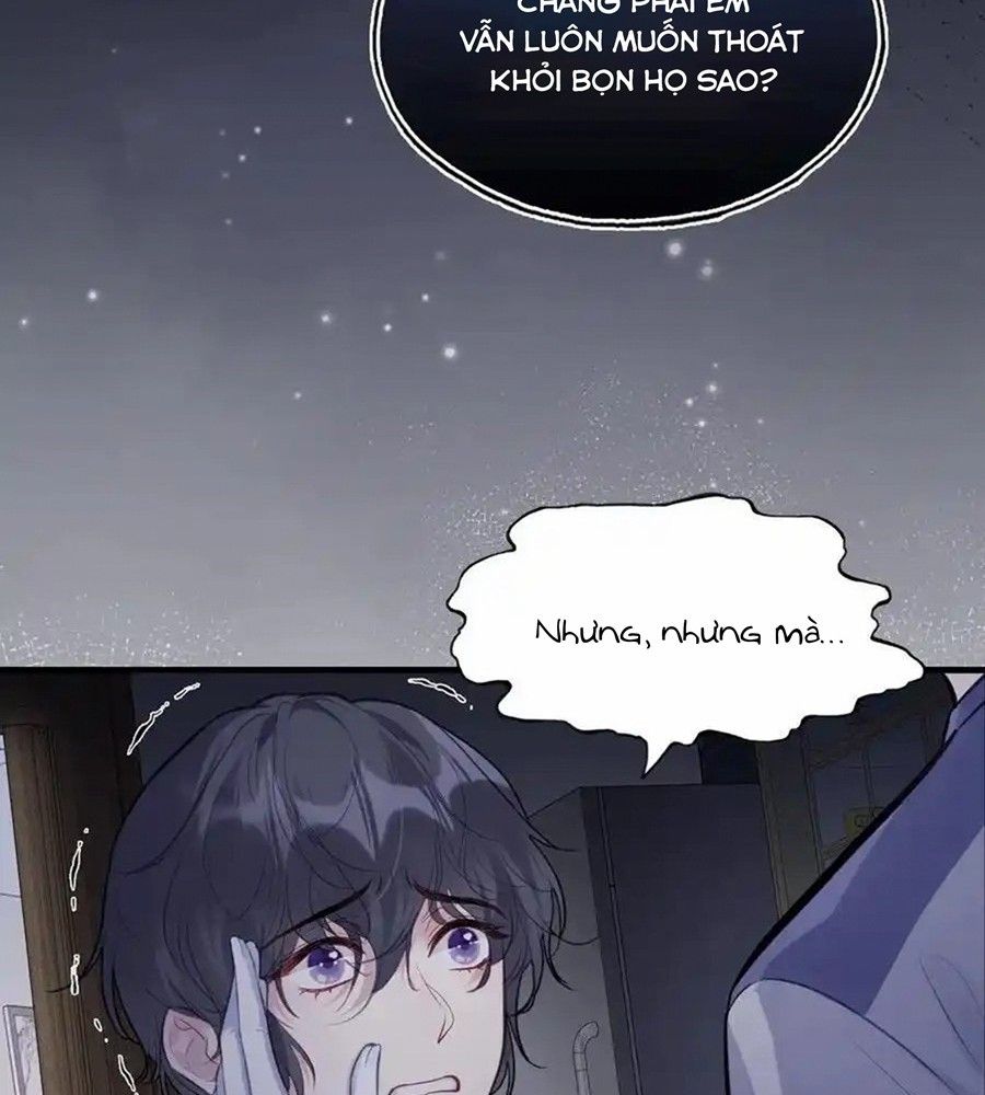 Anh Ấy Chưa Từng Sa Ngã Chapter 81 - Trang 2
