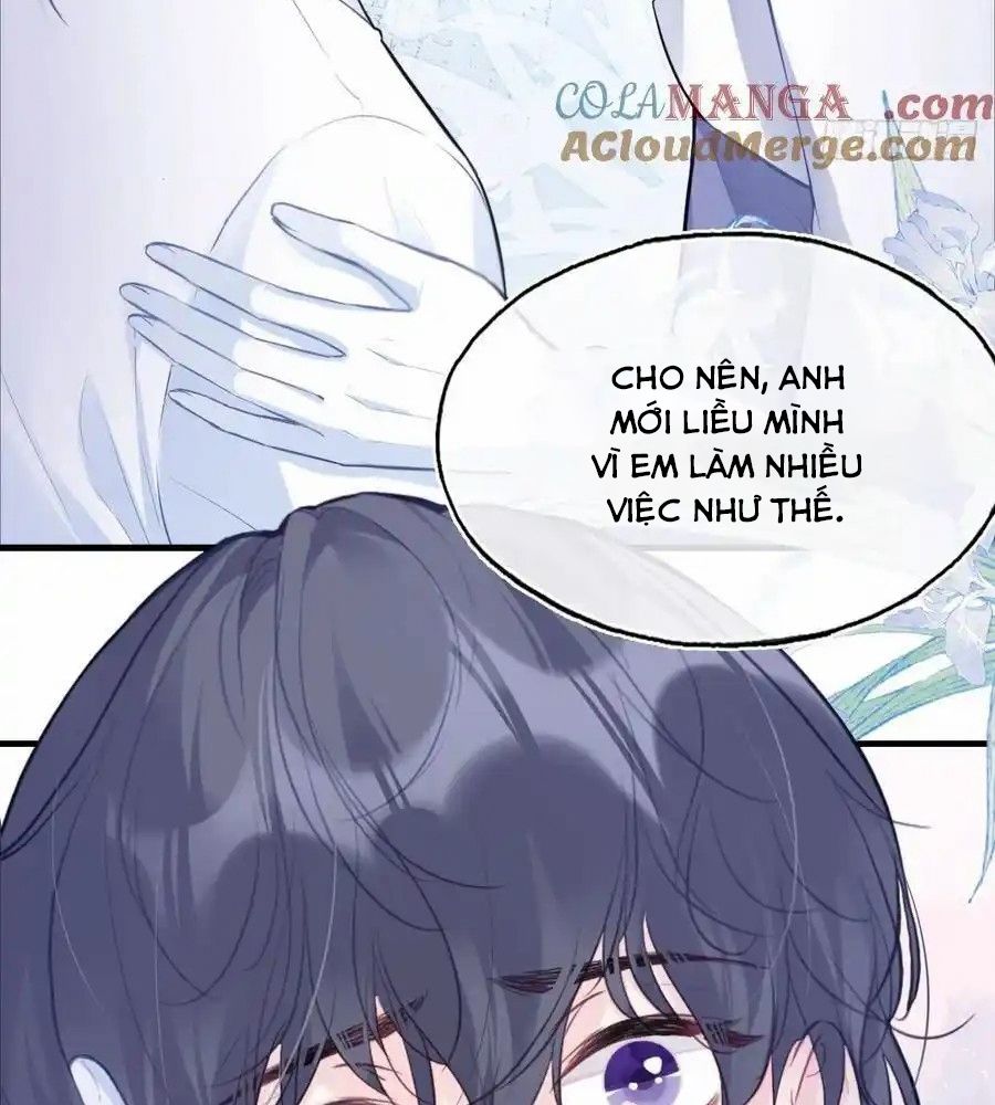 Anh Ấy Chưa Từng Sa Ngã Chapter 82 - Trang 2