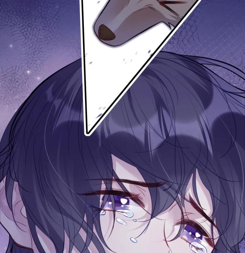 Anh Ấy Chưa Từng Sa Ngã Chapter 84 - Trang 2
