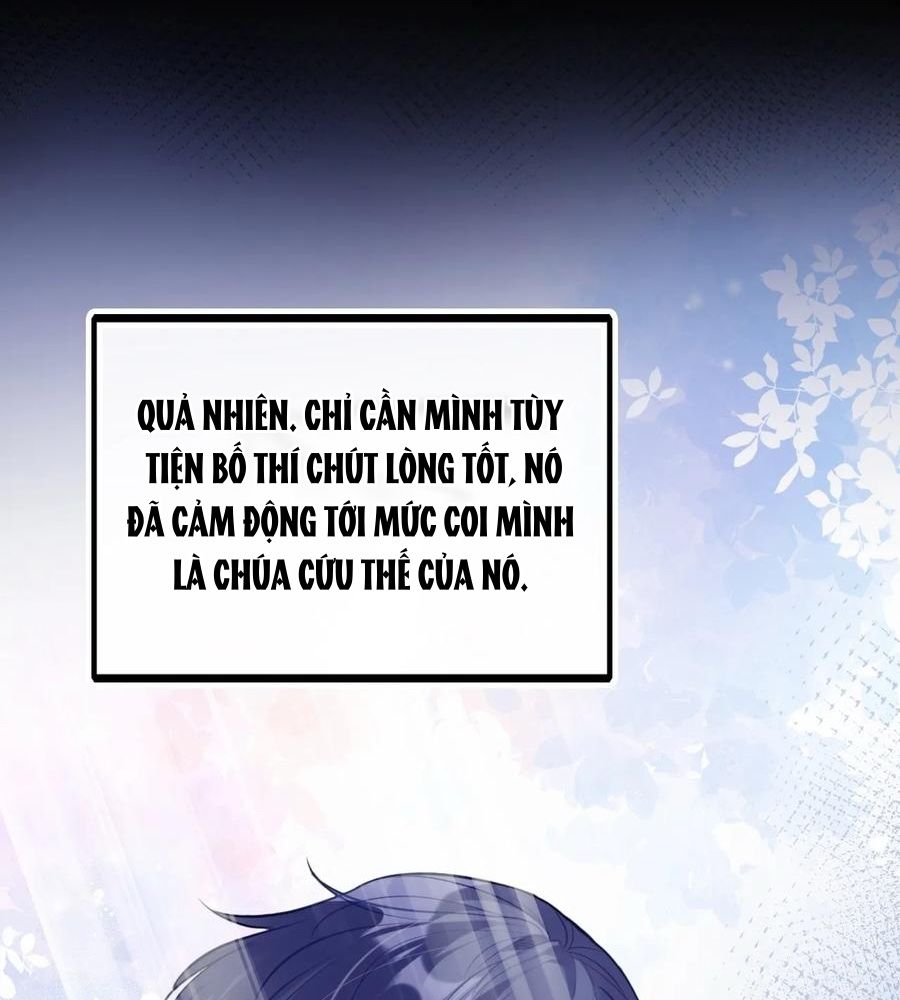 Anh Ấy Chưa Từng Sa Ngã Chapter 86 - Trang 2