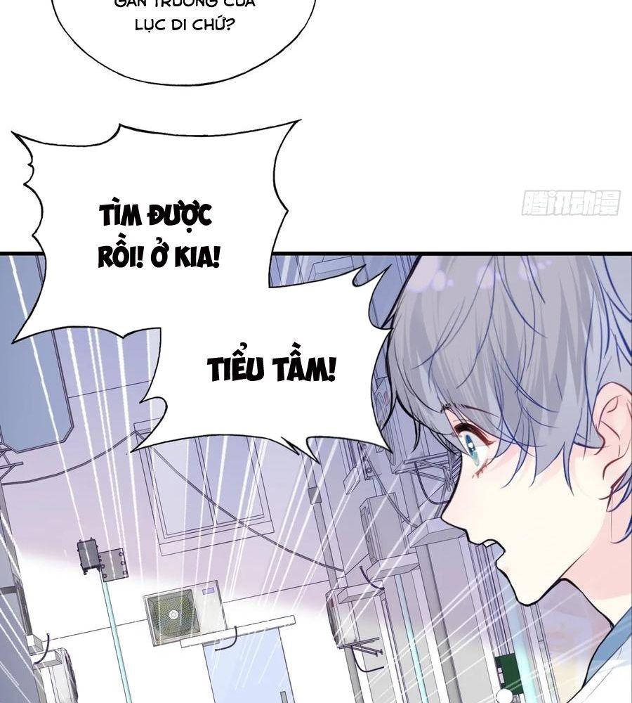 Anh Ấy Chưa Từng Sa Ngã Chapter 91 - Trang 2
