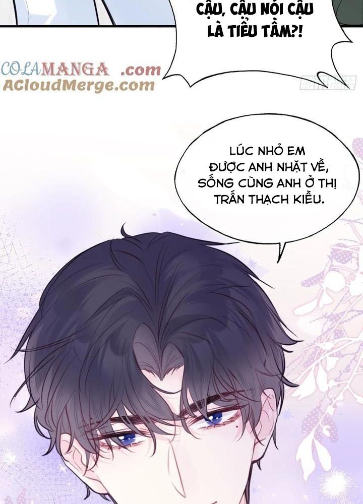 Anh Ấy Chưa Từng Sa Ngã Chapter 94 - Trang 2