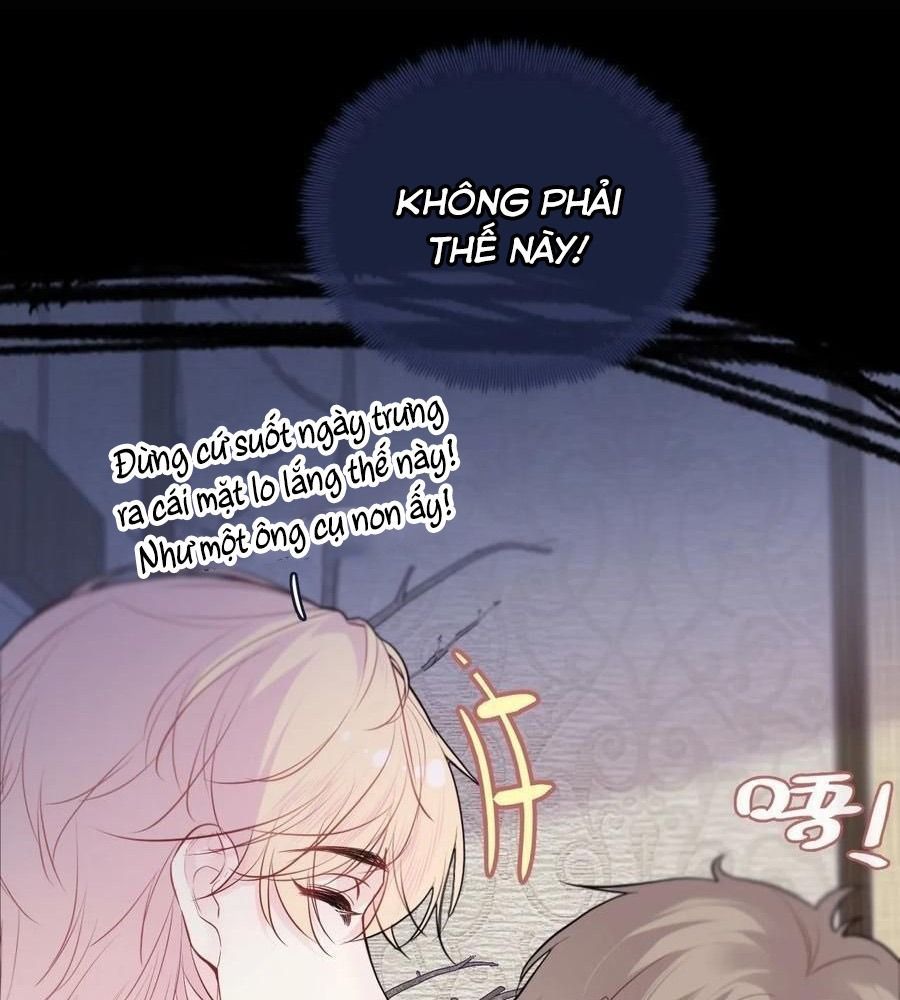 Anh Ấy Chưa Từng Sa Ngã Chapter 95 - Trang 2