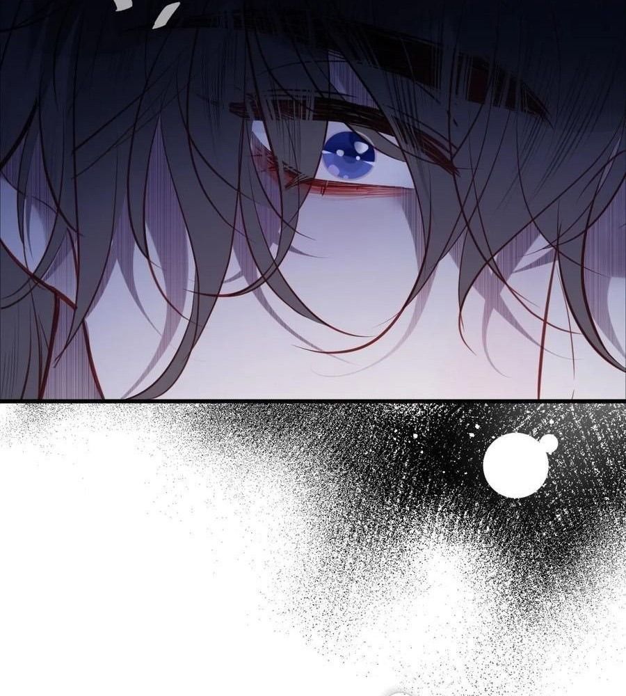 Anh Ấy Chưa Từng Sa Ngã Chapter 95 - Trang 2