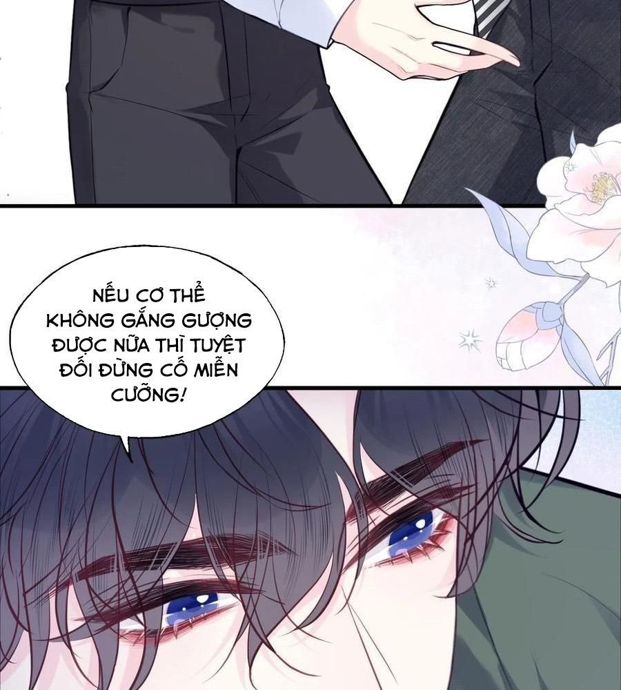 Anh Ấy Chưa Từng Sa Ngã Chapter 96 - Trang 2