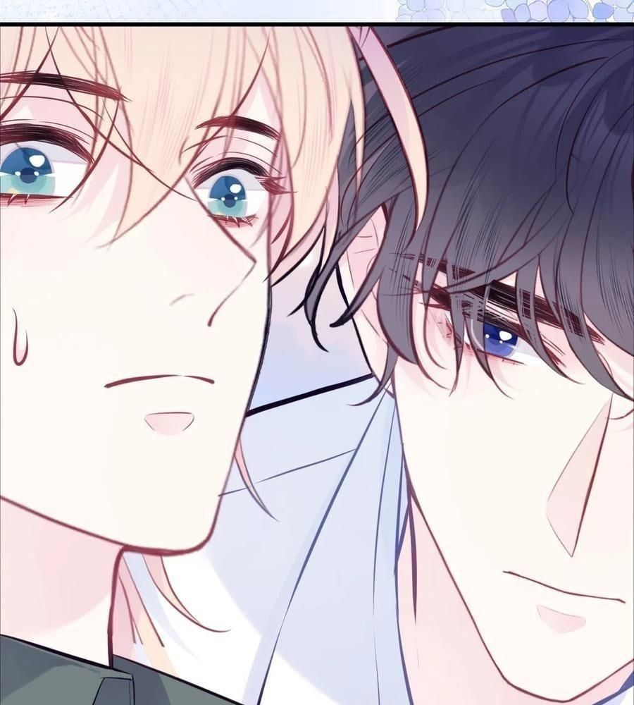 Anh Ấy Chưa Từng Sa Ngã Chapter 96 - Trang 2