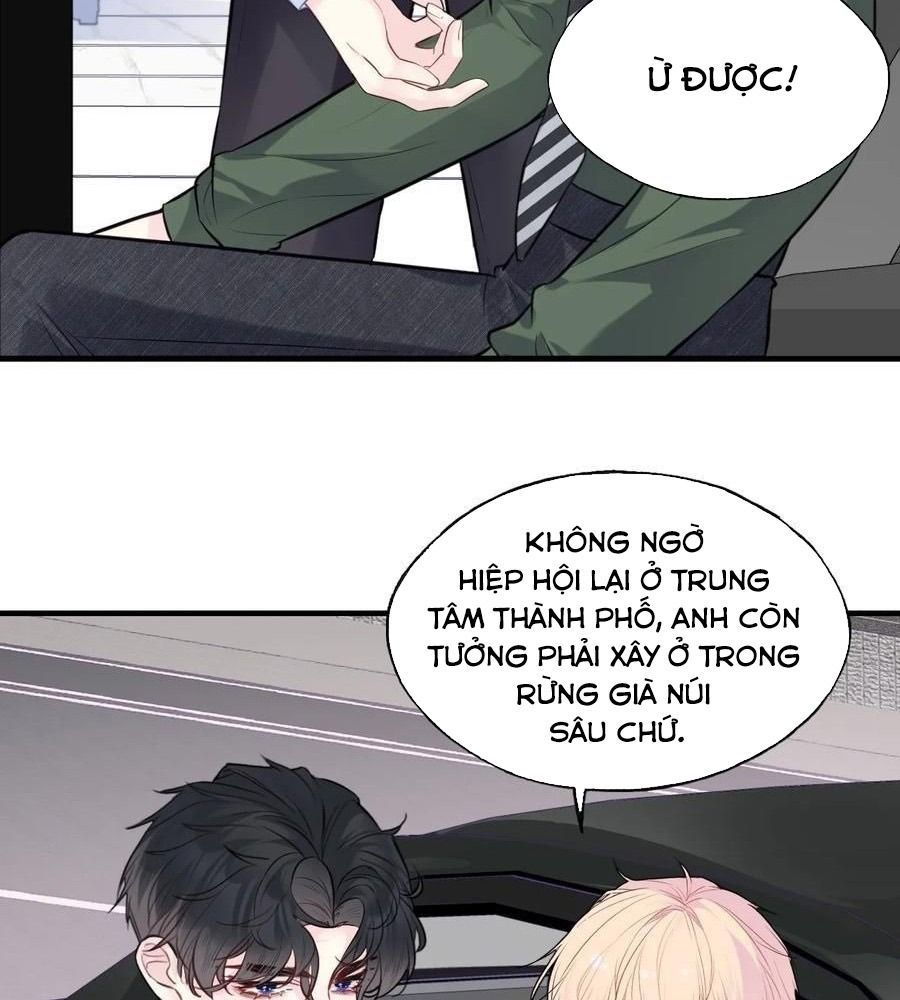Anh Ấy Chưa Từng Sa Ngã Chapter 96 - Trang 2