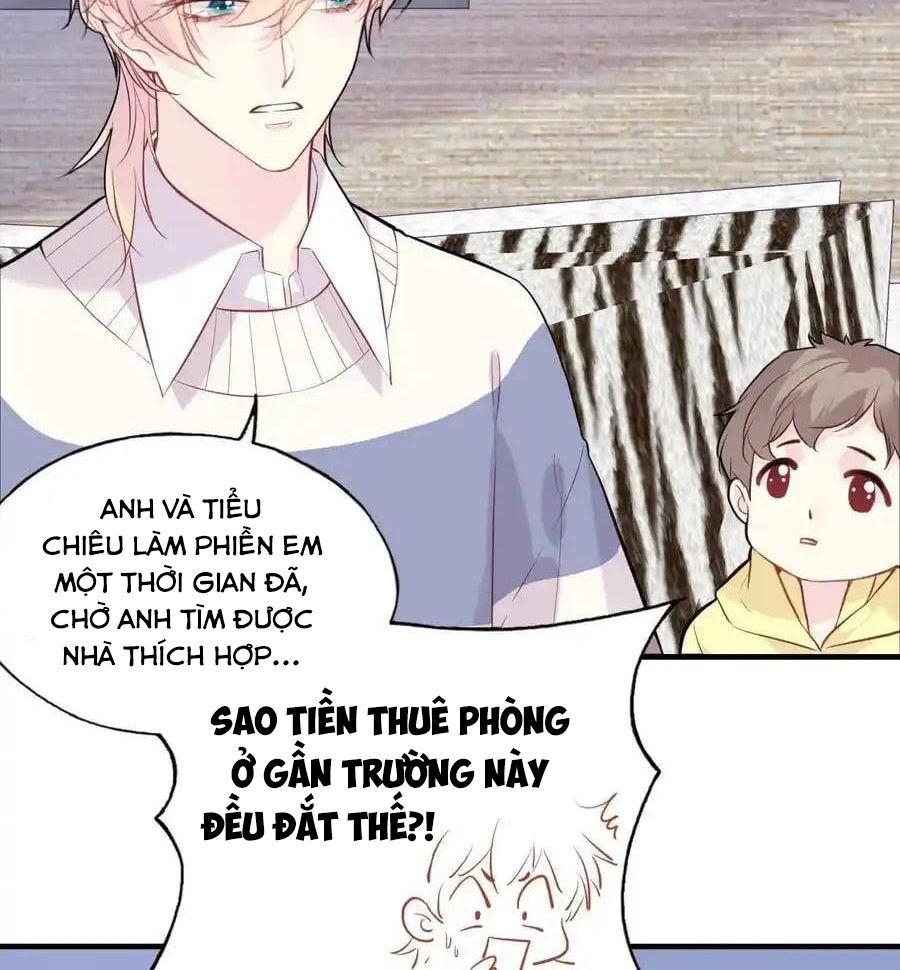 Anh Ấy Chưa Từng Sa Ngã Chapter 99 - Trang 2