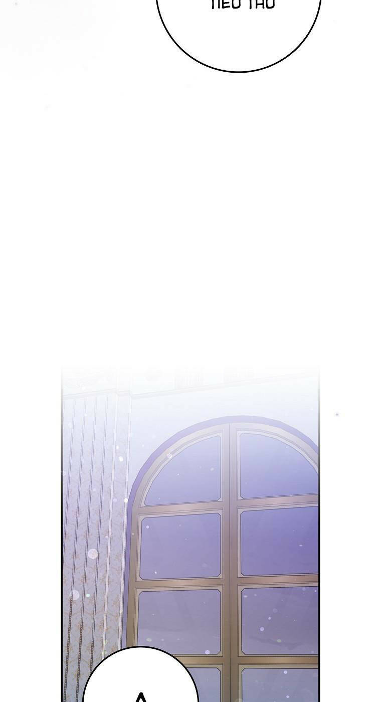 Anh Chỉ Là Đồ Bỏ Đi Của Tôi Mà Thôi Chapter 12 - Trang 2