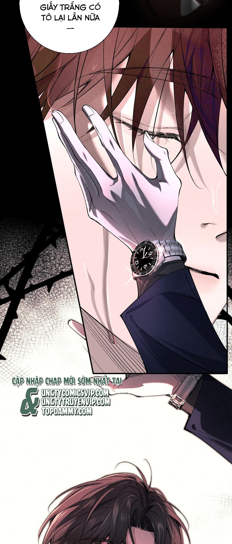 Ảnh Đế Cứ Muốn Làm Kim Chủ Của Tôi Chapter 7 - Trang 2