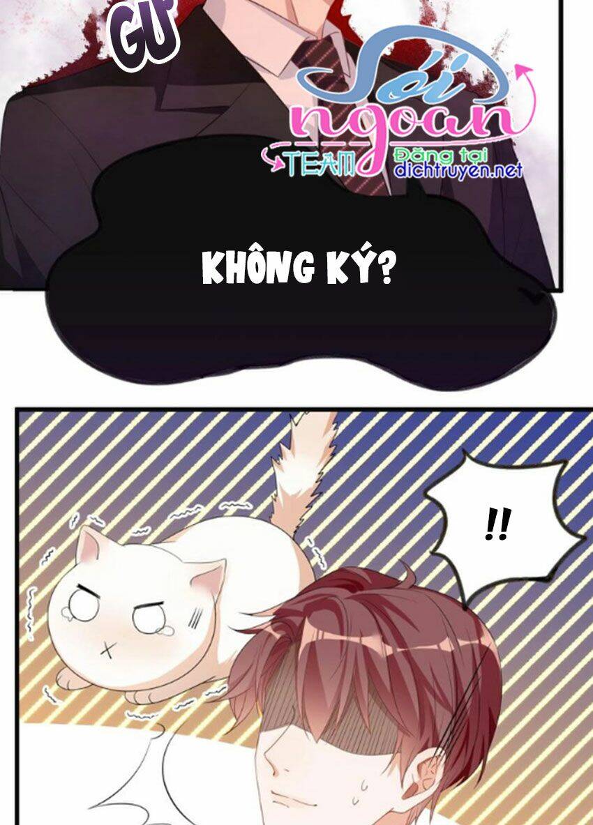 Ảnh Đế Làm Loạn Đòi Ly Hôn Chapter 1 - Trang 2