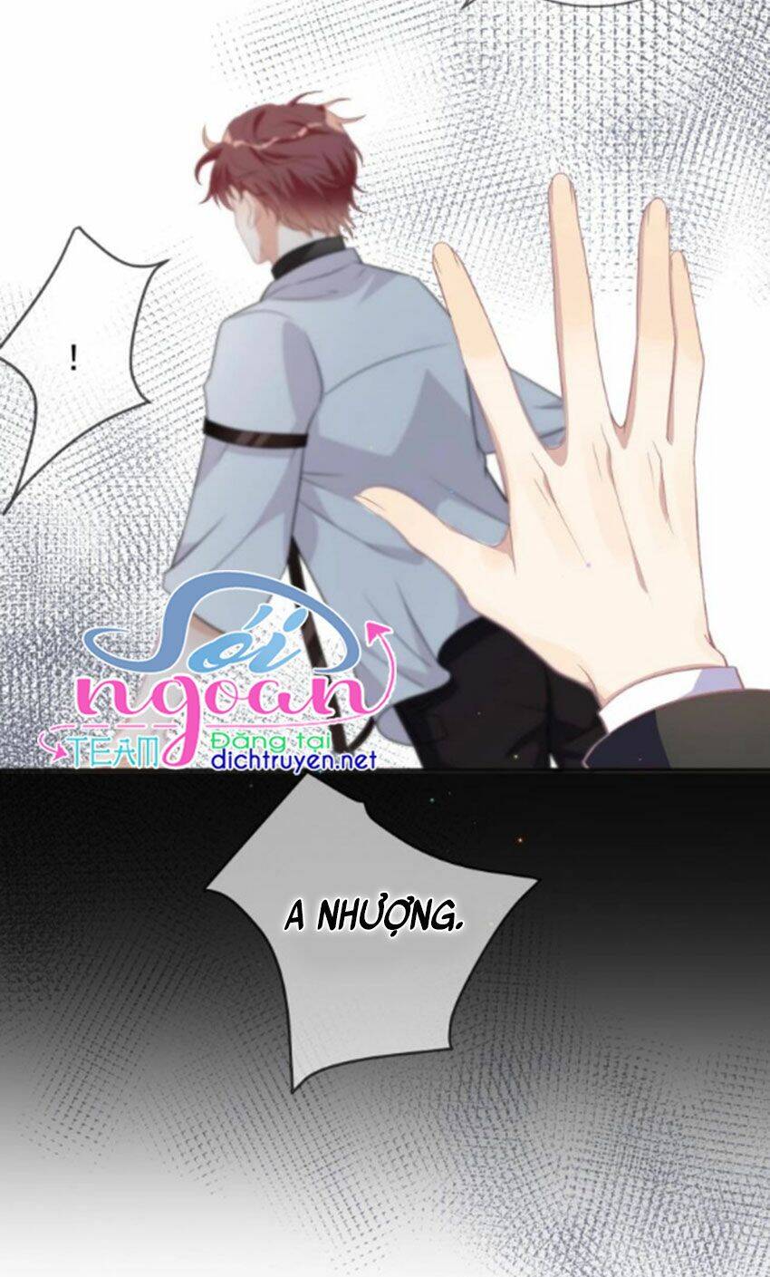 Ảnh Đế Làm Loạn Đòi Ly Hôn Chapter 11 - Trang 2