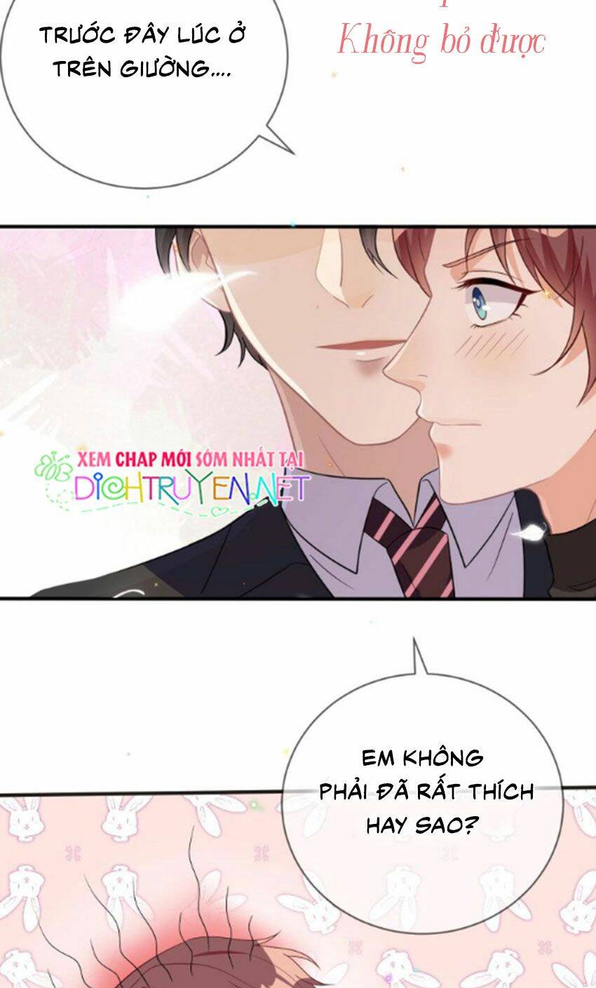 Ảnh Đế Làm Loạn Đòi Ly Hôn Chapter 11 - Trang 2