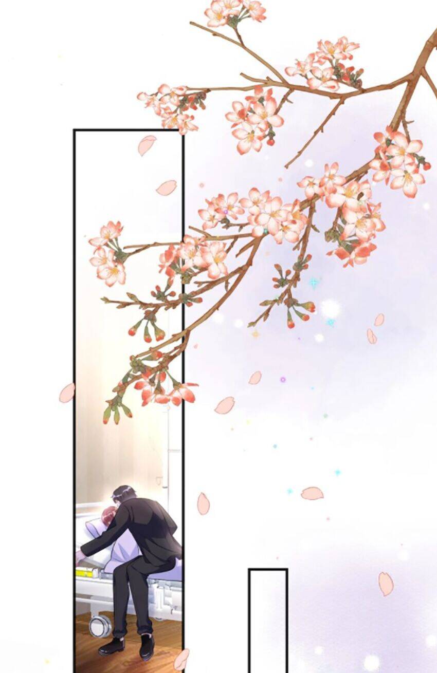 Ảnh Đế Làm Loạn Đòi Ly Hôn Chapter 17 - Trang 2