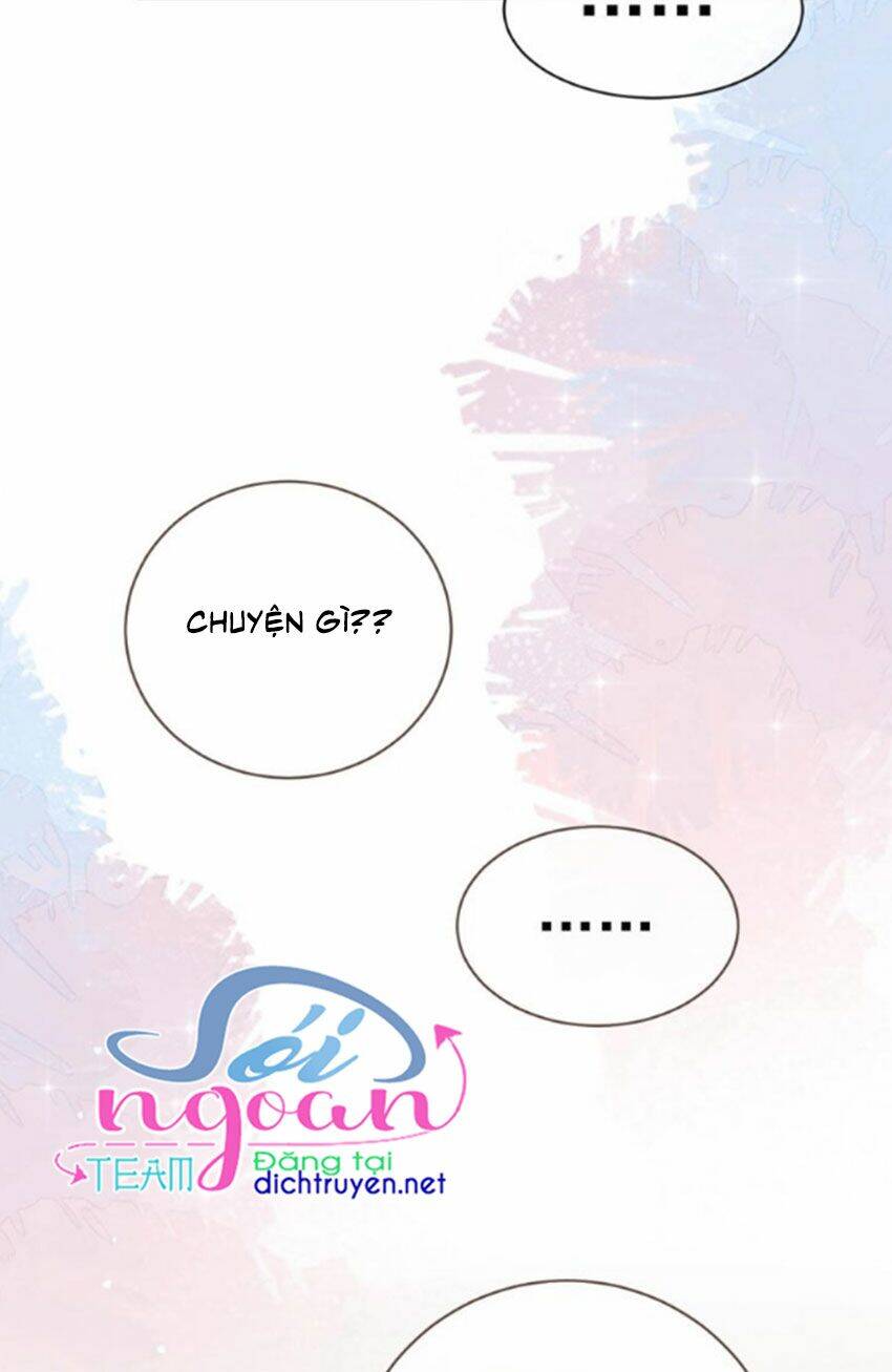 Ảnh Đế Làm Loạn Đòi Ly Hôn Chapter 2 - Trang 2