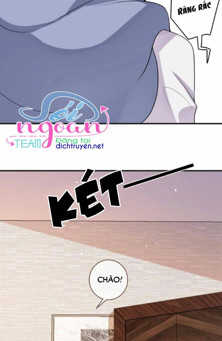 Ảnh Đế Làm Loạn Đòi Ly Hôn Chapter 2 - Trang 2